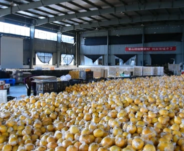 順豐快遞給手動(dòng)液壓搬運(yùn)車消毒，保障生鮮瓜果食品安全